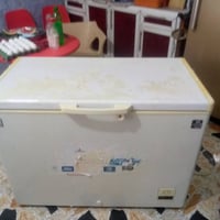 مجمدة • ١٤قدم • مفحوصة