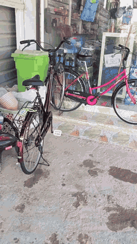 سانتوس شركه جديده مديل 2022
ليدز وردي مفول 2017
شرط مفولات يوجد توصيل حته المصر 
هنا ما موجود اتصل عل رقم ***********
