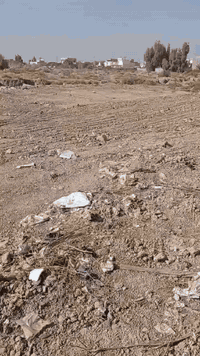 السلام عليكم قطعه ارض  للبيع ملحق حي الحسين  مساحه الارض ٢٥٠متر تباع كاملة أو نصف قطعه موقعه علا بزل كدامهه محرم ٣٠مترطابو صرف السعر، ٢٥،مليون بيهه مجال للاستفسار او الاتصال او مراجعة مكتب جوهرة المقدادية للعقار ***********
