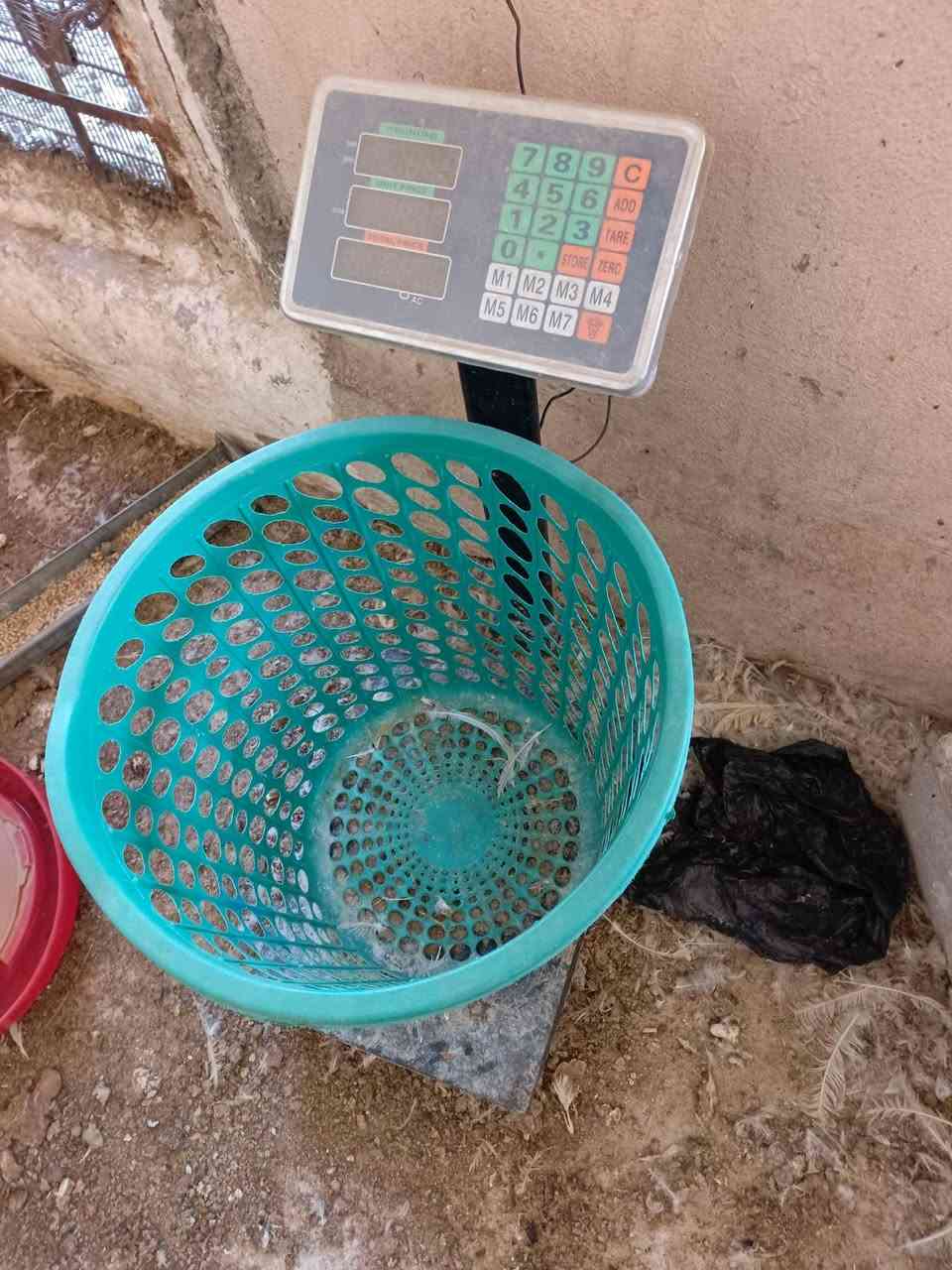 للبيع 400 الف


**إذا كنت صاحب هذا الإعلان وتريد حذفه لأي سبب، رجاءا أرسل رسالة إلى الدعم الفني**