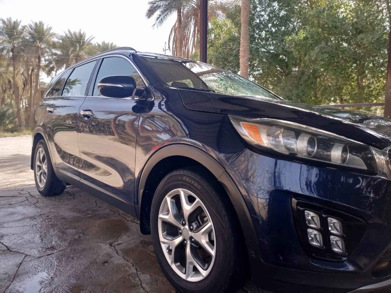 السلام عليكم ورحمه الله
سورنتو 2016 وارد امريكي 
حادث موضح بسونار محرك
2400 منضومه زنون تبريد تدفئه اشاير مري
حساس خلفي
كامره دواره
سنويه هزه جديده
رقم دولي
بأسمي شرط المداور
حداديه 100/90
3 انظمه قياده
مواصفات معروفه
السعر 148وبيه مجال كلش قليل المكان ديوانيه قضاء الشامية  *********** ديوانية, القادسية
