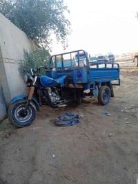 ستوتة • للبيع • الكوت