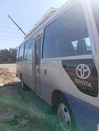 مصفرة • اكسنت • كفالة