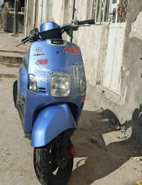 بوليس • نضيف • مايحتاج شغل