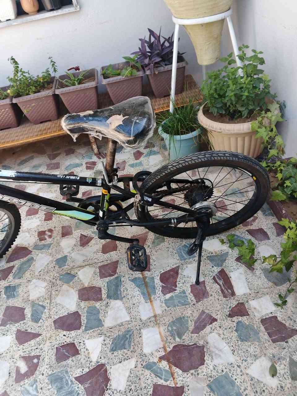 بايسكل للبيع حجم 20الموصل الجانب الأيمن الجديدة السعر75وبي مجال التواصل عالخاص


**إذا كنت صاحب هذا الإعلان وتريد حذفه لأي سبب، رجاءا أرسل رسالة إلى الدعم الفني**