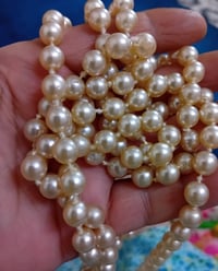 قلادة لؤلؤ • ١٧٤ حبة • لؤلؤ صناعي