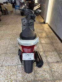 معرض الواثق 07745313954📞  سلام عليكم سكنس فحل ياباني قبق نفخ مرقم بغدا...