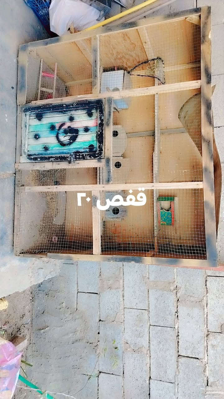 للإستفسار الاتصال على الرقم
***********
