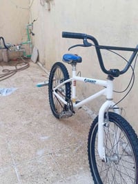 حجم ٢٤ • بسكليت