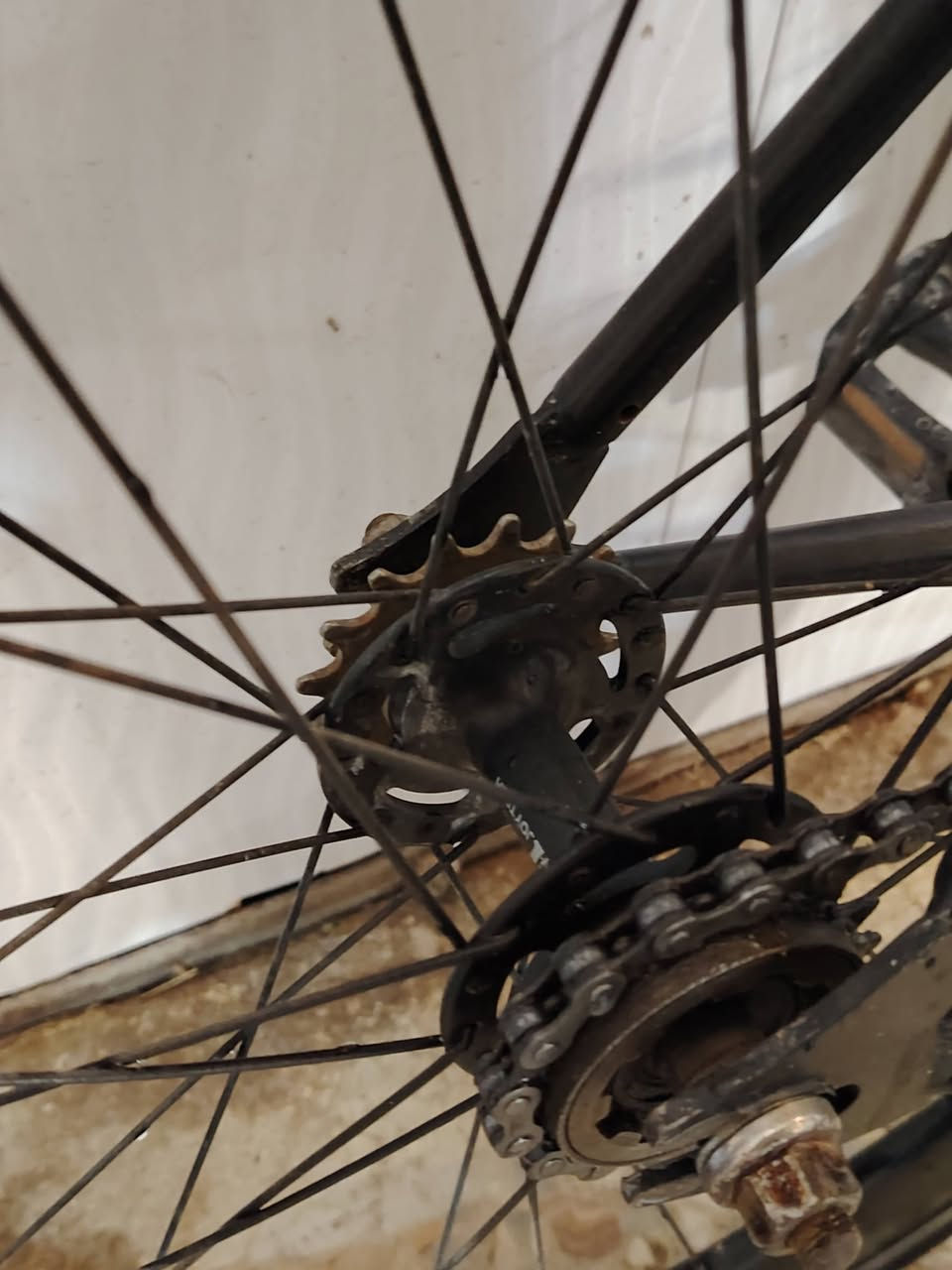 فكسد Fixed للبيع
السلام عليكم، بايسكل قياس 47
فريم FOXON باله كوري حديد مخفف
الويل الخلفي فكسد من شركة Alton حجم 28 ارتفاع 60ملم
الويل الأمامي حجم 28 باله ارتفاع 30 ملم
دشلي امامي 52 سن من شركة Litepro
ستيرن رود المنيوم من شركة FMFXTR
رگبة المنيوم من شركة RUIAN
سرج عرض 15 ملم من WEST BIKING

البايسكل جان لونه اسود وصبغته كامل بلون نيلي أمريكي 3 طبقات و كلير 3 طبقات، صبغه القديم موجود بالصور. 

البريكات انا مرهمهن لان هو بلا بريكات

150 ألف بي مجال للشراي الخاص مفتوح
مكاني نجف 
متوفر توصيل محافظات


**إذا كنت صاحب هذا الإعلان وتريد حذفه لأي سبب، رجاءا أرسل رسالة إلى الدعم الفني**