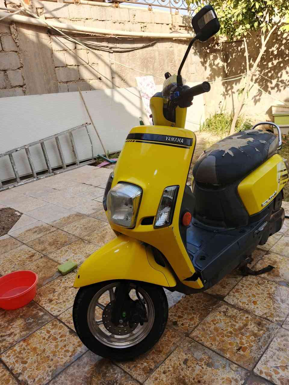 السلام عليكم دراجة بوليسي مصطره للبيع الدراجة مكفولة كفالة عامة الدراجة شلعة ومعدل  ولون مميز ويل رياضي السعر خاص مكاني بابل السدة الهندية لااستفسار اكثر راسلني خاص وبيك خير وتدلل


**إذا كنت صاحب هذا الإعلان وتريد حذفه لأي سبب، رجاءا أرسل رسالة إلى الدعم الفني**