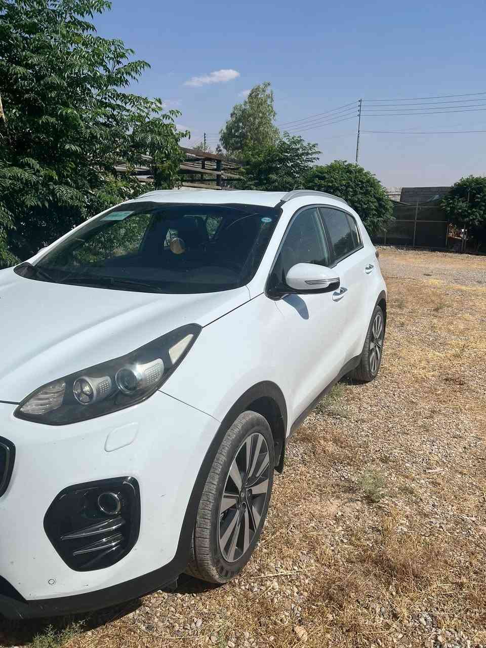 كيا سبورتج خليجي بيه صبخ ربع الباب عكس السايق وبارد بالجاملغ وبارد بالبنيد فقط وموضح كدامك بالسونار سياره حلوه ونظيفه داخلهه حلوو جوزي ماشيه 115 كيلو قابل للزياده  مبينه مواصفات السياره ومعروفه السياره احلا من الصور بعد 
رايدهه 178 ورقه 
مكان السياره اليرموك 
للاستفسار ***********
