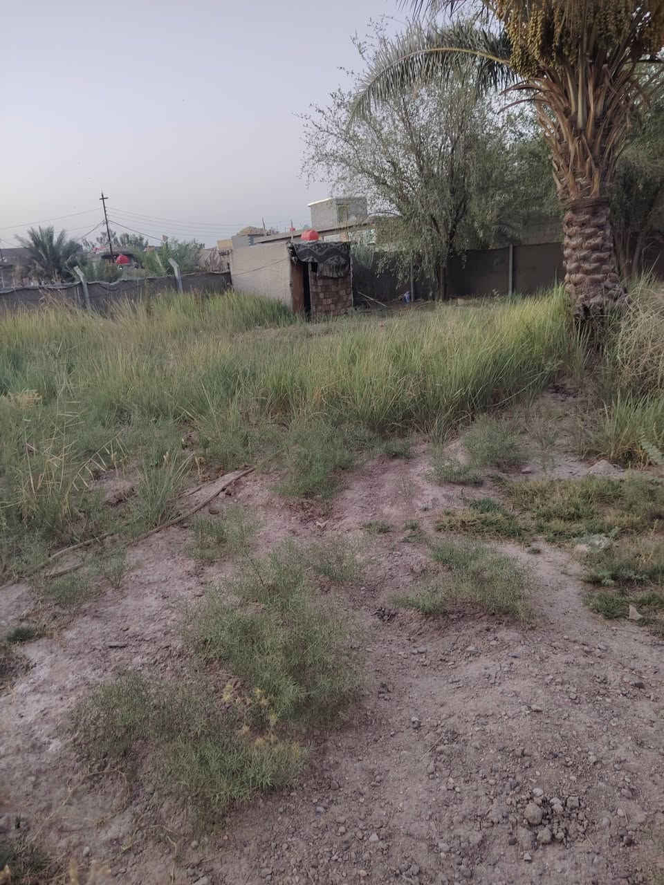 السلام عليكم قطعه أرض للبيع مساحه ٤٠٠ قطع البو مشتاق قريب حي ابو أسد ابي غرق مقابل مركز الشرطه للاستفسار اتصال على رقم ***********
