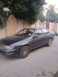 فرخ بطة 93 اللون رصاصي فيراني بدون صبغ اومعجون او تبديل  فقط تقحيل ..ف...