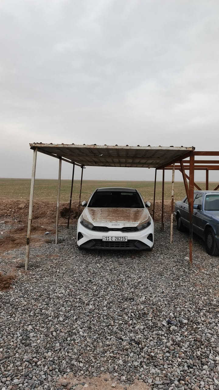 سيراتو 24 كفاله عامه ما عدا شخط بلجاملخ خلفي على حد أربع أصابع بدون ما الصبغ ينشخط ماشيه 50الف فقط
***********
