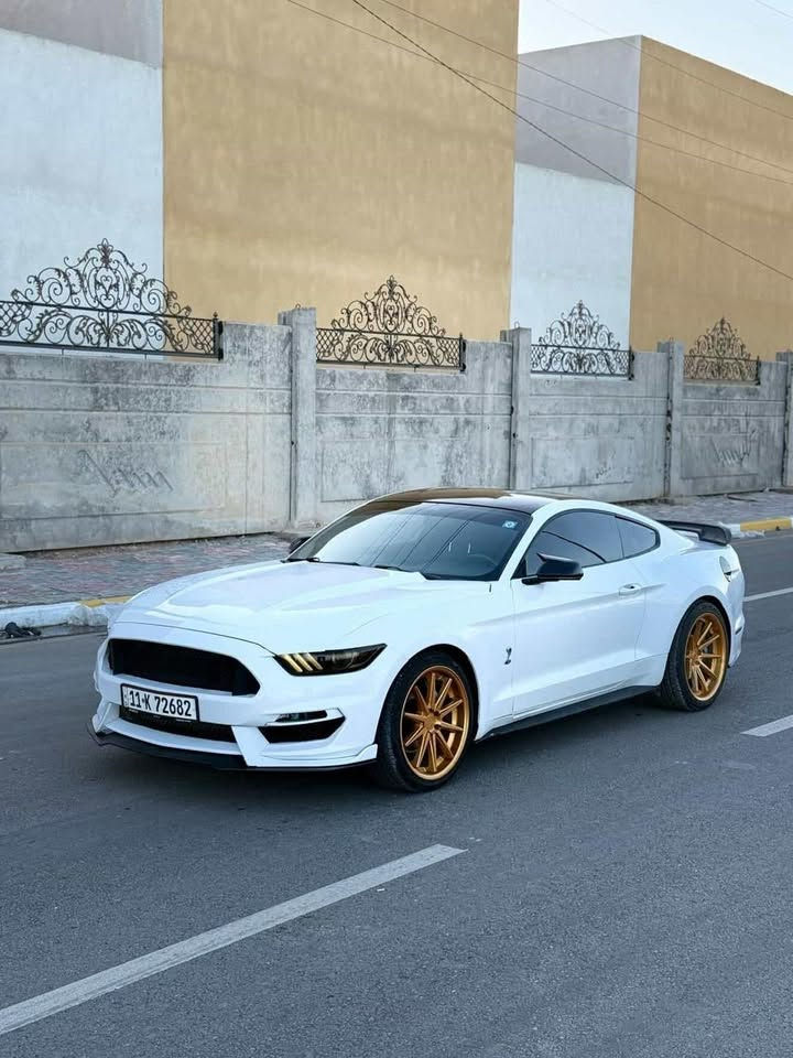 موستنك 2015 /6v
السياره بيها اقل الحزام ابيعها حزام 

نظيفة سياره وبيها ادامه ع ايدي 

ب اسمي سياره 

120

***********

ماقطع سعر ولا انطي وعد  شوفه وتدلل
