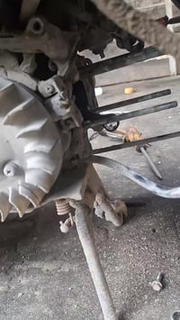 ناسيهة من الدهن الشفية هههه اي ستفسار 07826946154