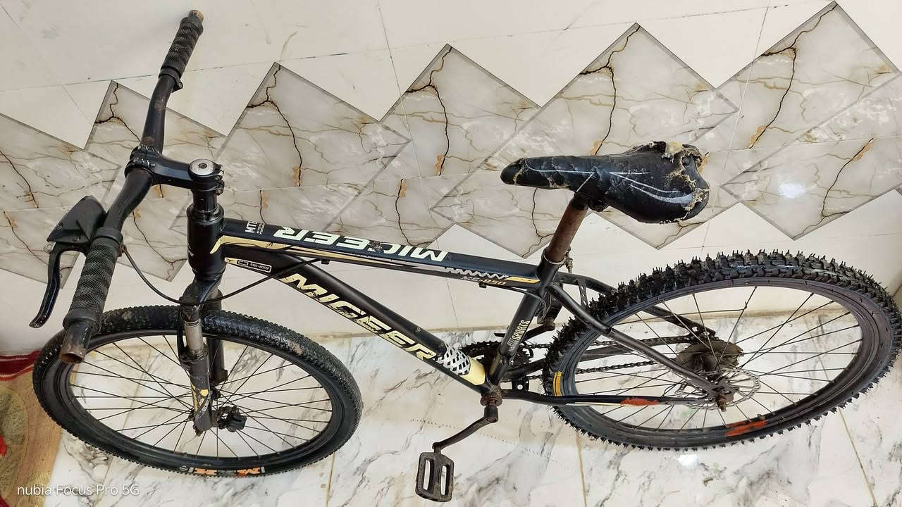 بايسكل جبلي سعر 30


**إذا كنت صاحب هذا الإعلان وتريد حذفه لأي سبب، رجاءا أرسل رسالة إلى الدعم الفني**