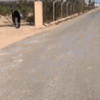 ارض زراعية للبيع 8 دونم بستان متكامل  للاستفسار الاتصال على الرقم 0780...