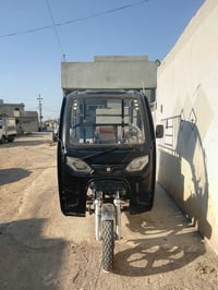 قمريه • جنج • ستوته