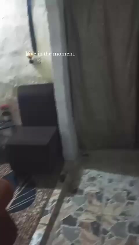 سلام وعليكم بيت 100 متر حي العامل شارع المول بل مجمع تجاوز بيت كامل لتواصل عل رقم مكلف بل نشر / ‏‪***********‬‏
