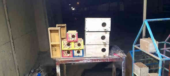 السلام عليكم لعمل وبيع كافه انواع اقفاص البلابل وخانات الطيور تفصال حسب الطلب يوجد لدينا اقفاص حجم صغار جمله مفرد وانواع البيوت جمله مفرد العنوان تكريت حي الجمعيه شارع المدارس للاستفسار خاص او هذا رقمي***********
