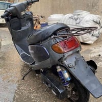 منغولي • جانت • عاطلة