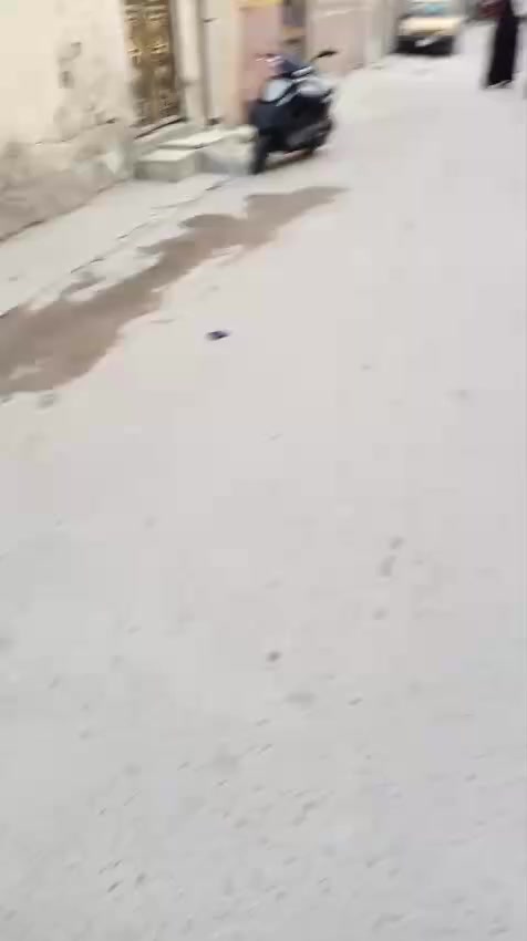 بيت 100موقع حلو 62بي مجال ***********
