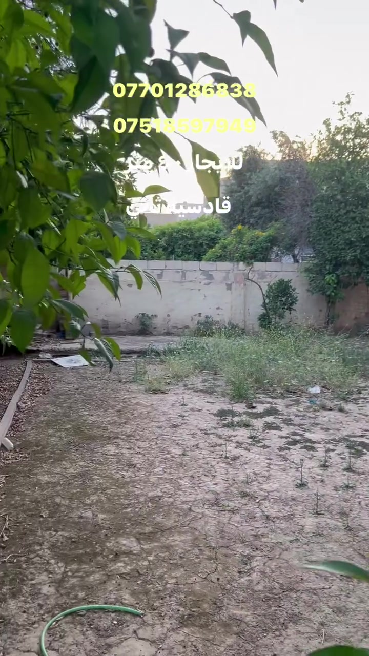 دار للايجار ٤٠٠ متر  عنوان  كركوك  قادسية  ثاني  قريب  من حديقة خيال البيت يتكون  كراج و استقبال و مطبخ و  غرفة نوم عدد ثلاثة  هاتف واتساب *********** / ***********
