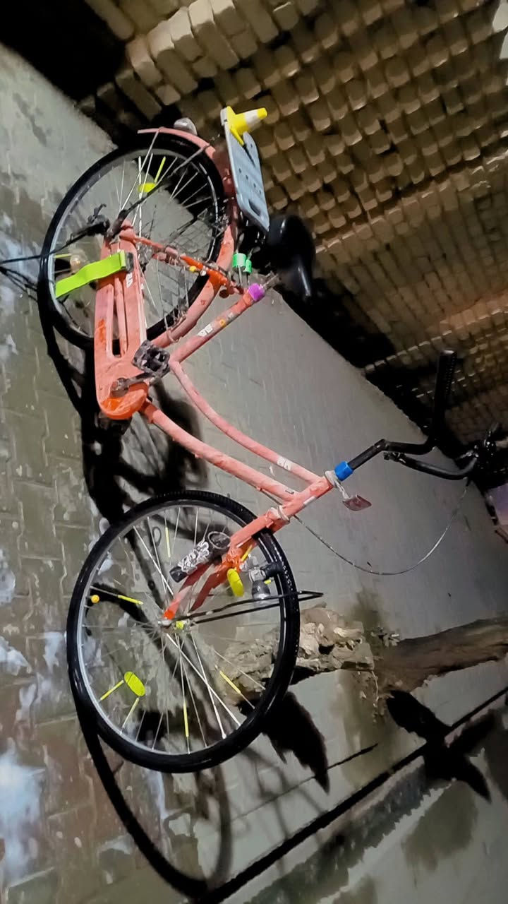 سلام عليكم بايسكل واحد عراقي للبيع السعر  ١٥٠ المشخاب نجف *********** 📱 ☎️ ✌️

