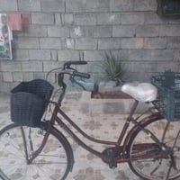باسكيل • بي مجال