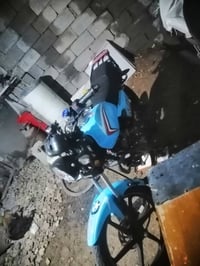 شاينك • ٢٠٢٥ • اوراق معرض