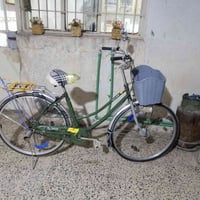 بايسكل • حجم ٢٧ • فلوجه