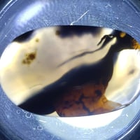 عقيق يماني • مصور • شكل طير