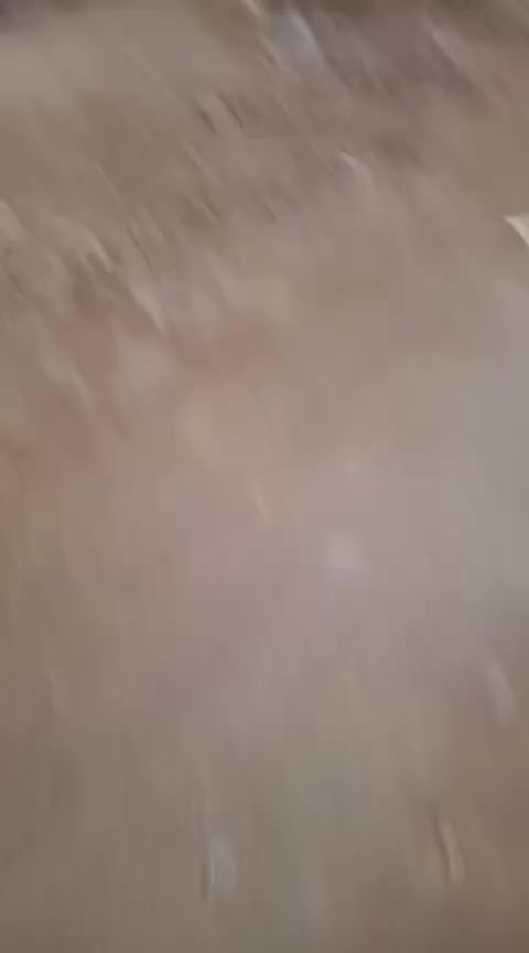 المساحه 200م زراعي وصل تطويب
دور الزراعة مقابيل المستوصف البيطري 
سعر 40 بي مجال 
للتواصل ***********
