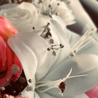 العامريه • مول كنزي • الدور الاول علوي