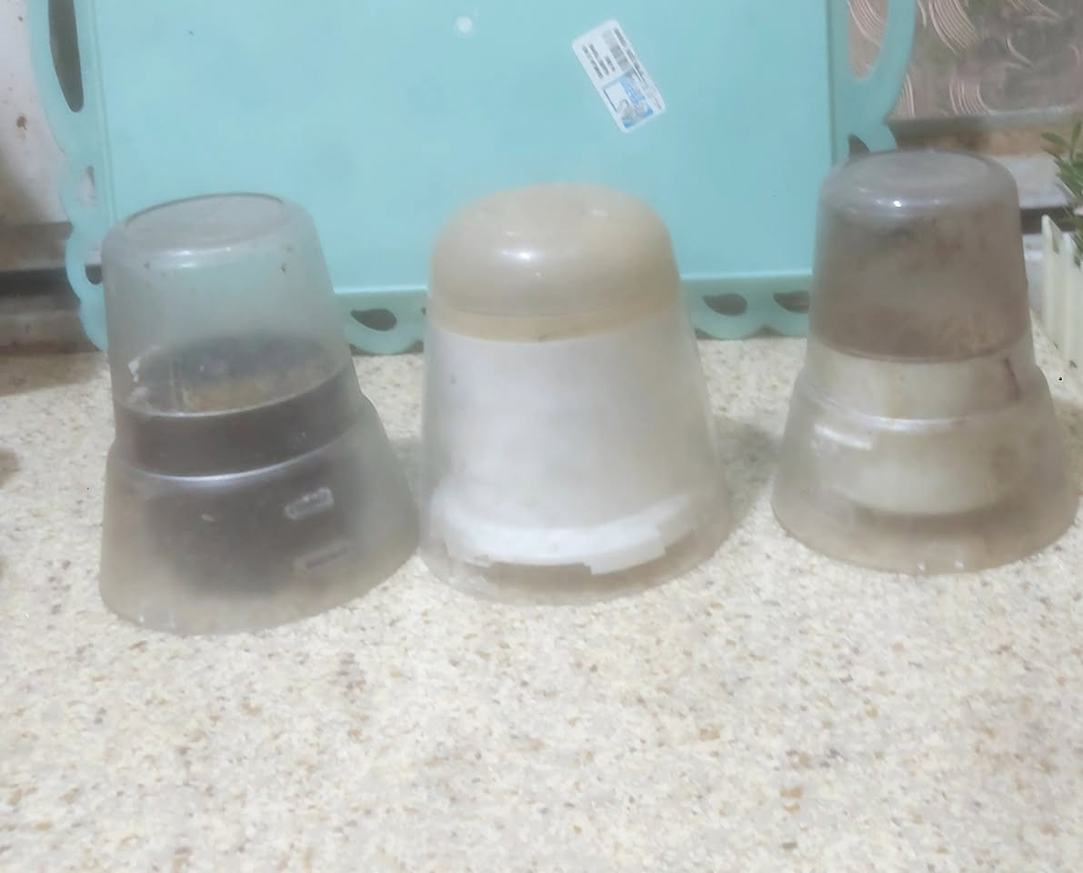 بيع مستعجل لغرض السفر كلمن وسعره


**إذا كنت صاحب هذا الإعلان وتريد حذفه لأي سبب، رجاءا أرسل رسالة إلى الدعم الفني**