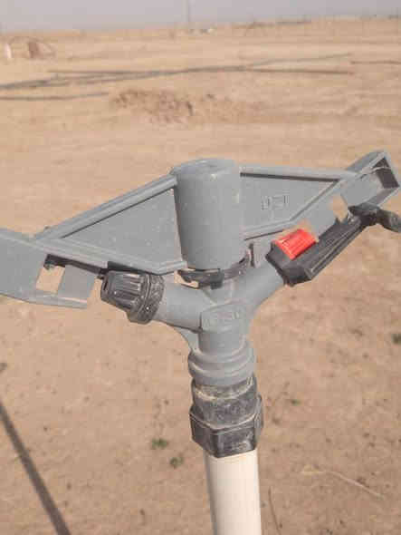 مرشه البيع 700 بوري ابو اربعه 78 بوري رئيسي كامله مطش 30 دونم ترهم نص بنص علا الموسم رقم الهاتف ***********
