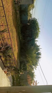 دونم ونص • بابل المهناويه • غرفتين