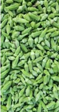 بذور باميه فرنسية شرط اذا مو فرنسيه خسار وبذور لهلوبه سعر الكيلو 20الف...