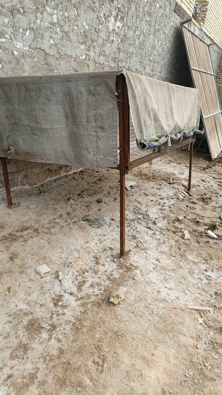 محجر مال فحل للبيع بي بوابات ينفتح اليفوك مكان بغداد مدينة صدر تصال ***********

