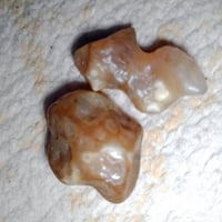 سليماني • أحمر • خام