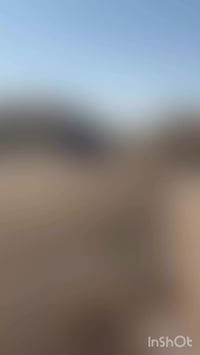 قطعُ  أراضي وهياكل فرصة استثمارية جدا مميزة طابو صرف سكني للاستفسار اك...