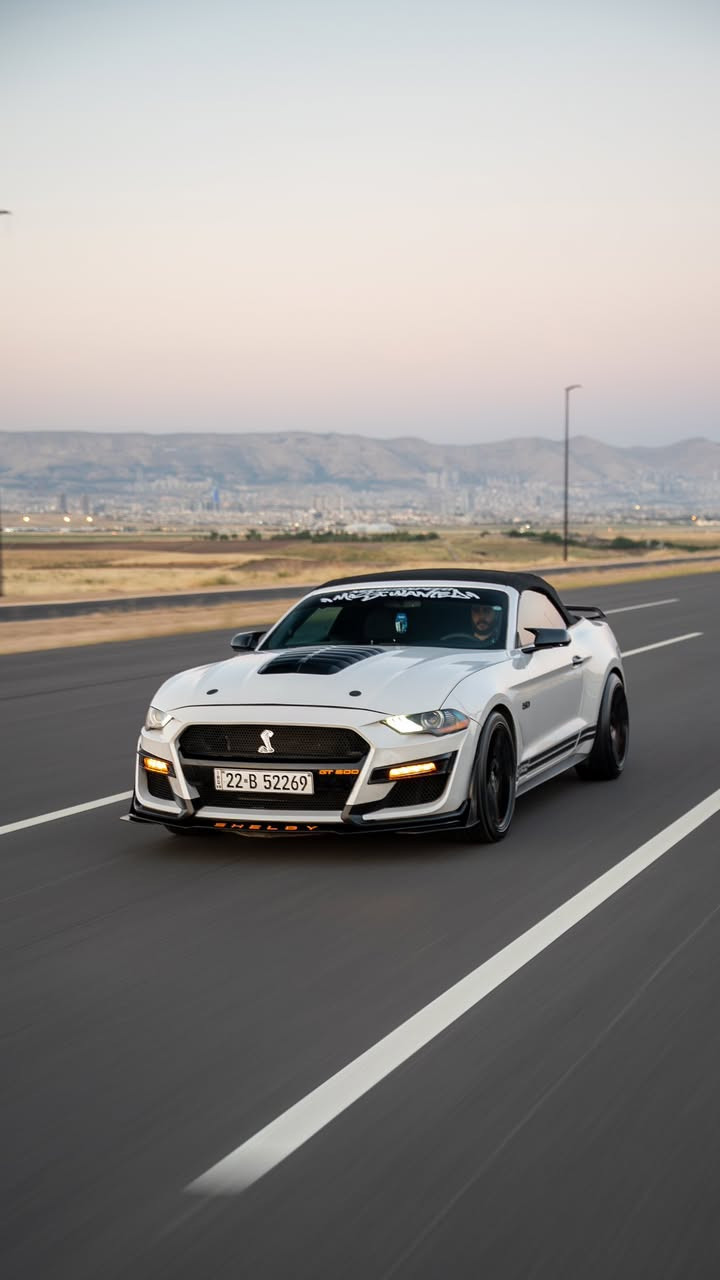 ١_السياره ابيض صدفي
٢_السياره محدث شيلبي GT500

٣_عليه دسكات ماركت بريمبو جديد

٤_اناره ليد متغير الوان  wifi داخليه ٢٧ لون 

٥_كفر مرايه كفر يدات كاربون لحيه دفيوزر  

٦_وياله قياس ٢٠ + ٢ سايز  

٧_ليدات دفيوزر + الجانبيه مال الدعاميات 

٨_عليه ادامه كامله بلكات ونوزلات ودهن جديد motosel

٩_السياره ماشيه ٧٨الف ماشاءلله جديده 

١٠_ حزام صبغ ماعدا الصندوق الخلفي مو صبغ وضربته الجاملغ السكن شويه بيه دواخل 

:-مكان السياره-سليمانيه-***********

:-سعر السياره-١٣٨-ورقه وبيه مجال قليل

:-السياره فقط للبيع بدون مراوس 

سنويه لحد ٢٠٣١ جديده تحويل او وكاله  ثاني يوم
