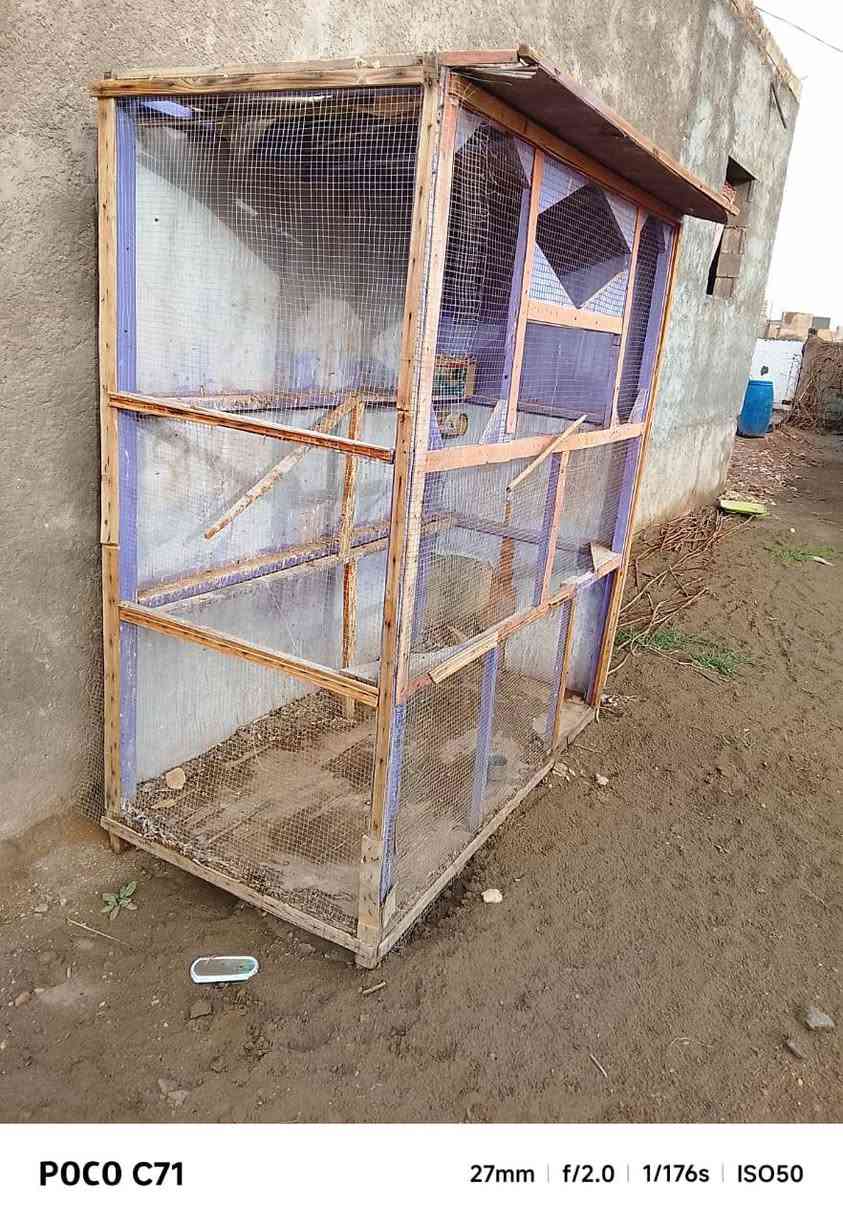 أخوان قفص للبيع بستين وبي مجال الموقع بحي غزة للتواصل 
***********0
