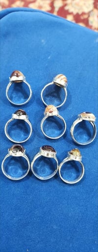 شلع • ٨ قطع