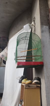 زينة منزل • حجم كبير