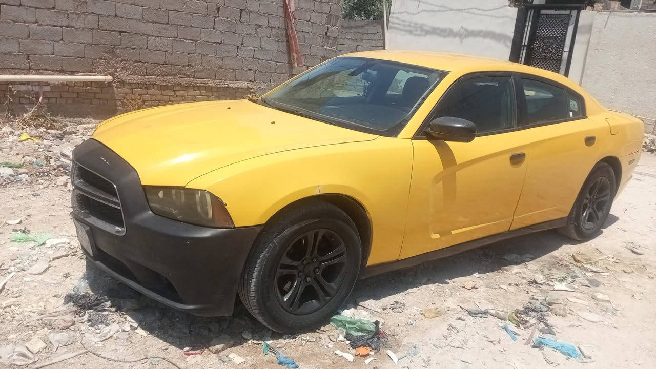 تفاصيل داخل الصور شراي يدالل
