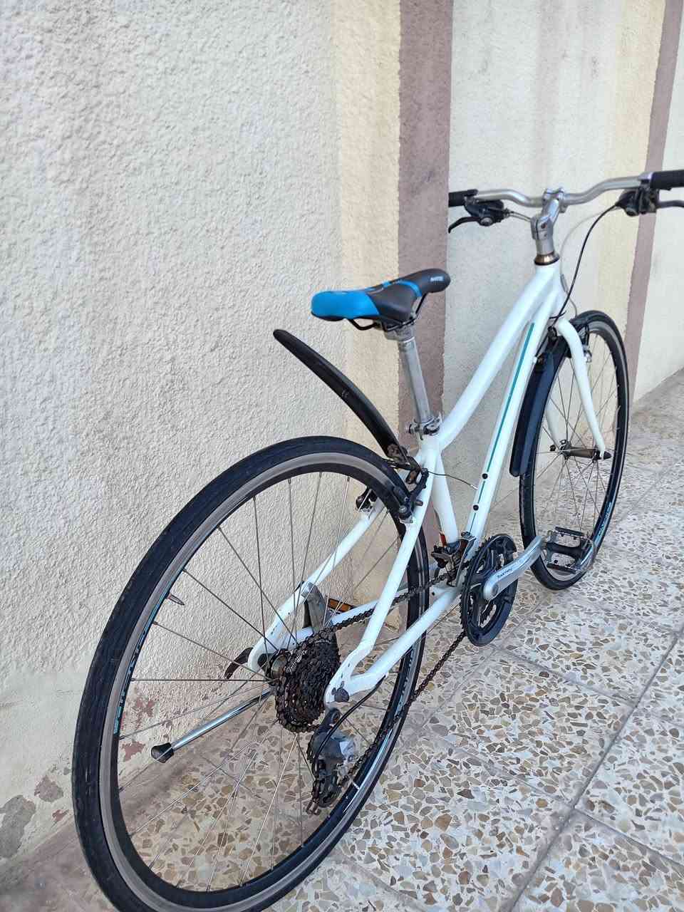 #بـيع_فـقـط 🔹✔
دراجه ماركة #PRECISION_ #بريزيشن ياباني 🇯🇵

حجم 28 (c700)
معدن المنيوم
سستم شيمانوا تورني 8×3
بريكات تكتروا
وياله زوم مختمه
دراجه وضع حاويه كامله ومضبطه كل غراضها اصليه

#السعر 135
#مكاني_جانب_الايسر_حي_فلسطين


**إذا كنت صاحب هذا الإعلان وتريد حذفه لأي سبب، رجاءا أرسل رسالة إلى الدعم الفني**