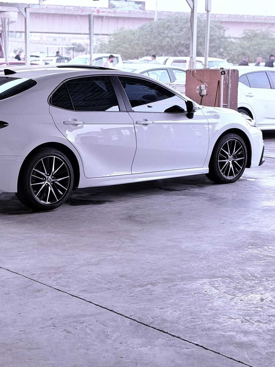 🔷اللهم صلي على سيدنا محمد واله وصحبه 
وسلم🔷

#تويوتا__كامري__SE_بلاص_

موديل2024

سعر27500$

المواصفات 
سقف سلايت
بصمه تشغيل
تشغيل عن بعد
بصمة ابواب
شحن تلفون لاسلكي
كشنات تدفئه
ستيرن تدفئه

ضرر فقط جامرلغ مفتوح

بدون دواخل بدون ارباك بدون تبديل  بدون صبغ

شرط الفحص

شرط الترقيم

كاتي دخول جديد

يترقم دهوك اربيل سليمانيه

#للأتصال***********

       🔷للفخامة عنوان وعنوانها الملوية 🔷
